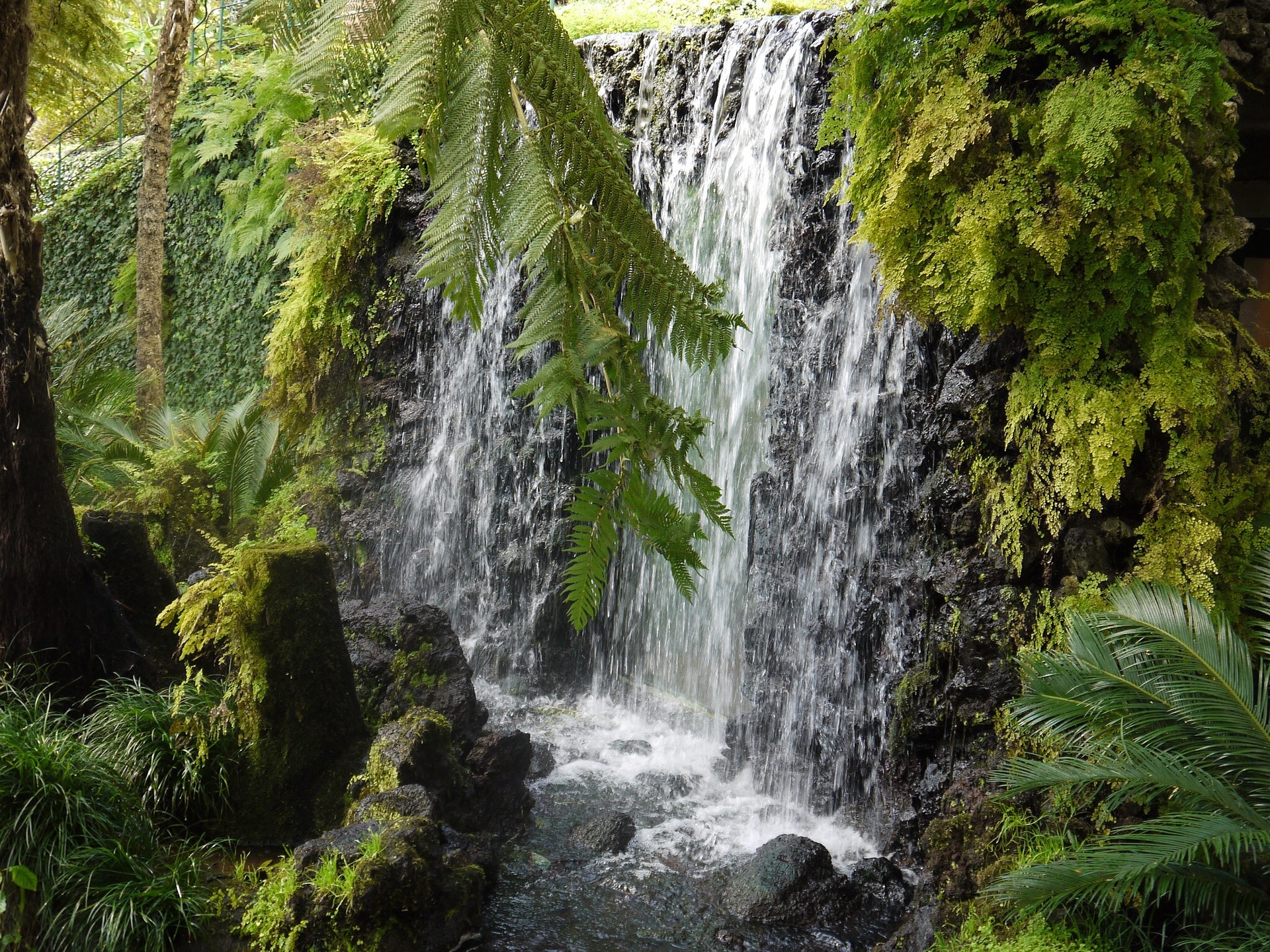 Waterval op Madeira - Rondreis Rondje Madeira